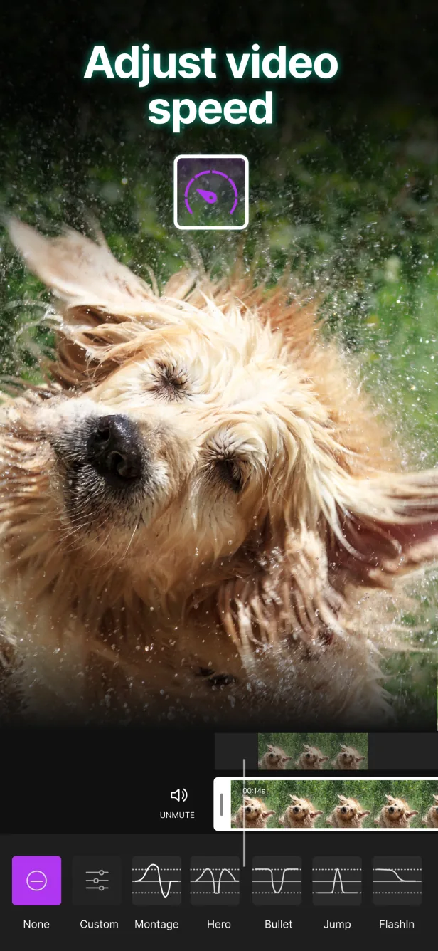 App Store screenshot: “Adjust video speed” with a dog shaking off water